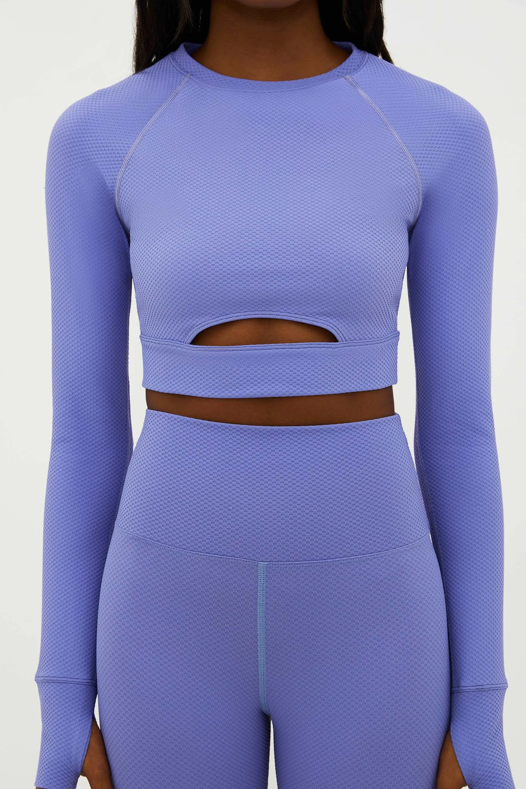 Beach Riot Women's Francine Long Sleeve Crop Top - Periwinkle Blue